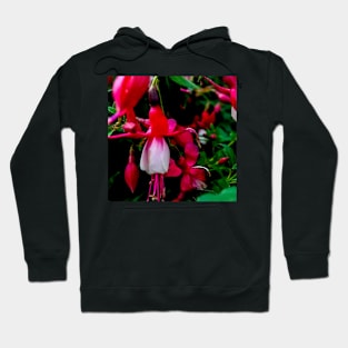 Flowers in bloom Hoodie